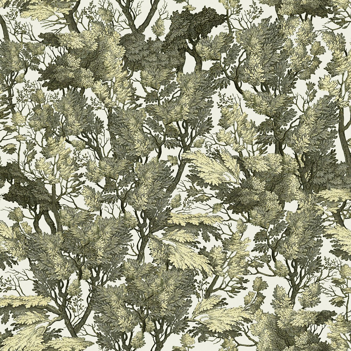 Tree Foliage Wallpaper | The Design Yard