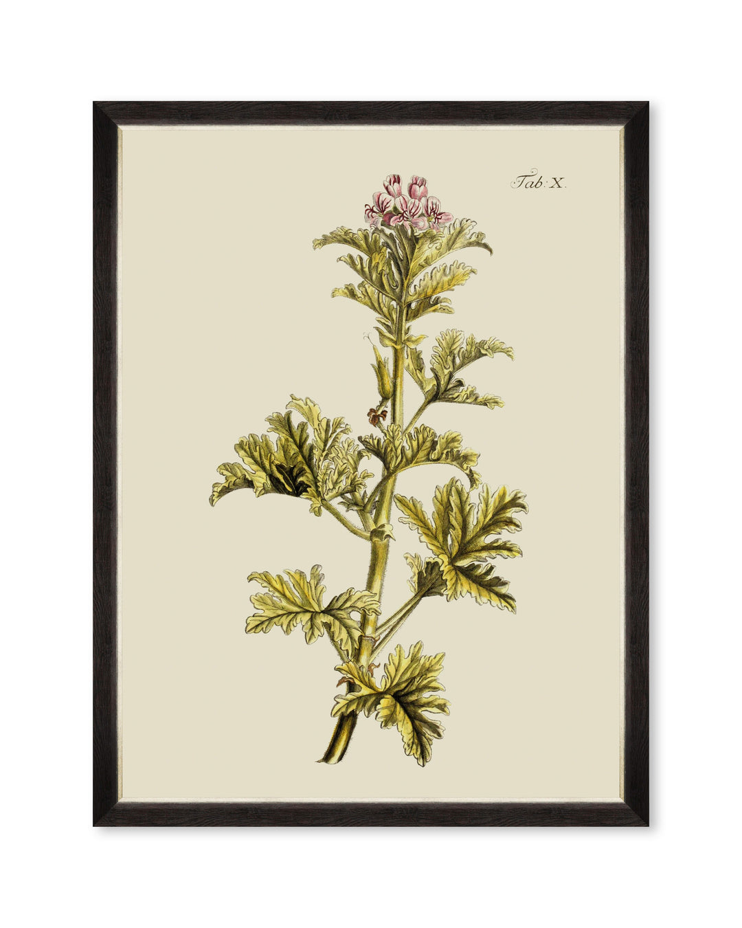 mind-the-gap-botanical-framed-art-florals