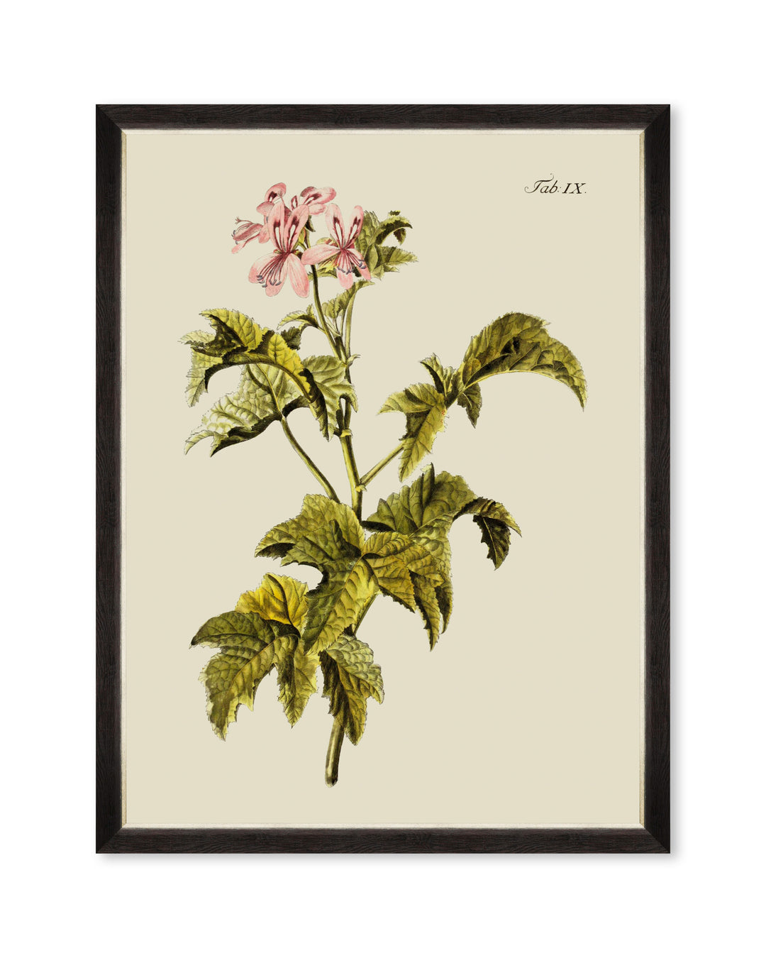 mind-the-gap-botanical-framed-art-florals