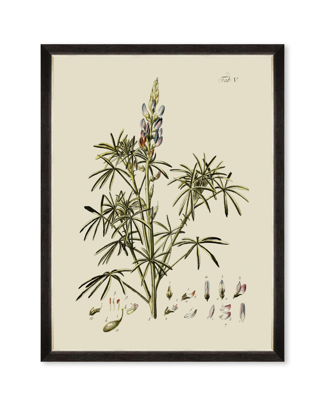 mind-the-gap-botanical-framed-art-florals