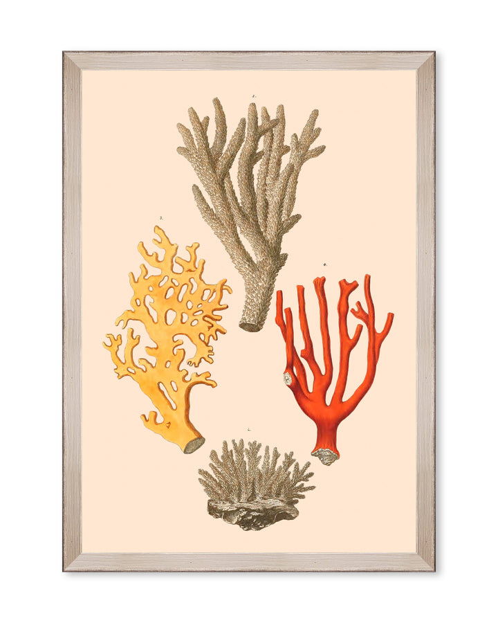 mind-the-gap-deliciae-naturae-hand-illustrated-framed-art