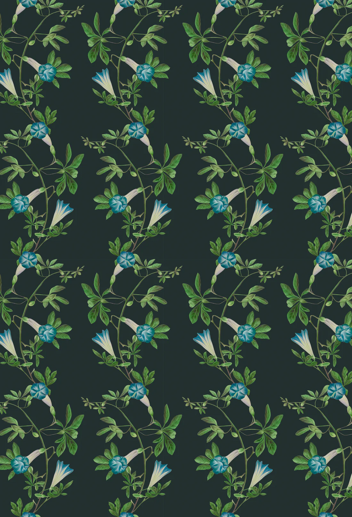 Deus-ex-gardenia-wallpaper-Midsummer-wallpaper-trialing-vines-and-flowers-french-toile-british-garden-leafy-trellis-hand-illustrated-pattern-Charcoal-blue-green-print-on-black-background