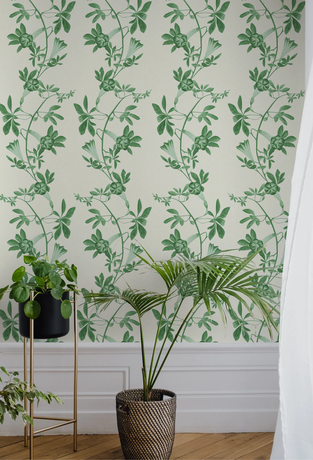 Deus-ex-gardenia-wallpaper-Midsummer-wallpaper-triling-vines-and-flowers-french-toile-british-garden-leafy-trellis-hand-illustrated-patternVine-green-on-white-background