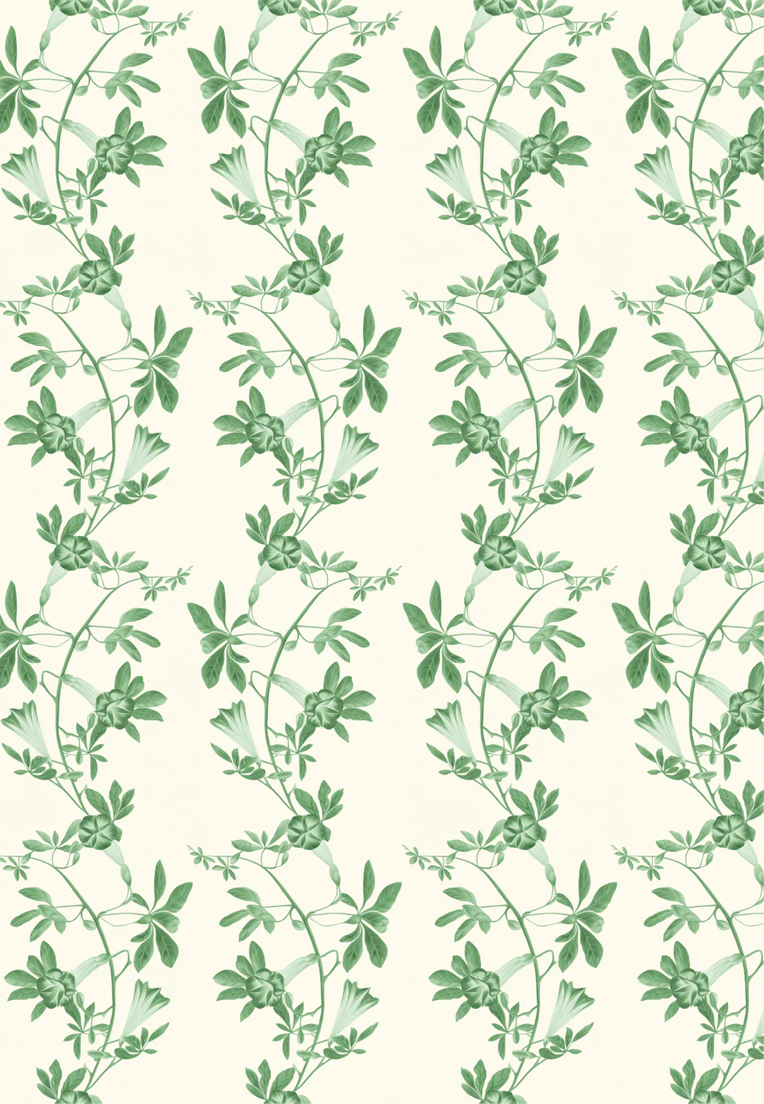 Deus-ex-gardenia-wallpaper-Midsummer-wallpaper-triling-vines-and-flowers-french-toile-british-garden-leafy-trellis-hand-illustrated-patternVine-green-on-white-background