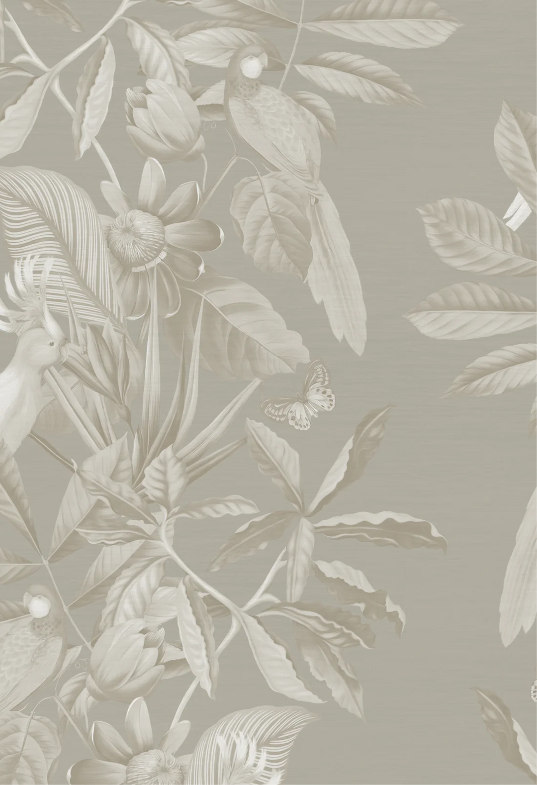 Deus-ex-gardenia-Passiflora-wallpaper-Ammonite-pearly-cream-background-columbian-tropical-rainforest-feeling-birds-butterflies-ferns-jungle-hand-illustrated-print-pattern