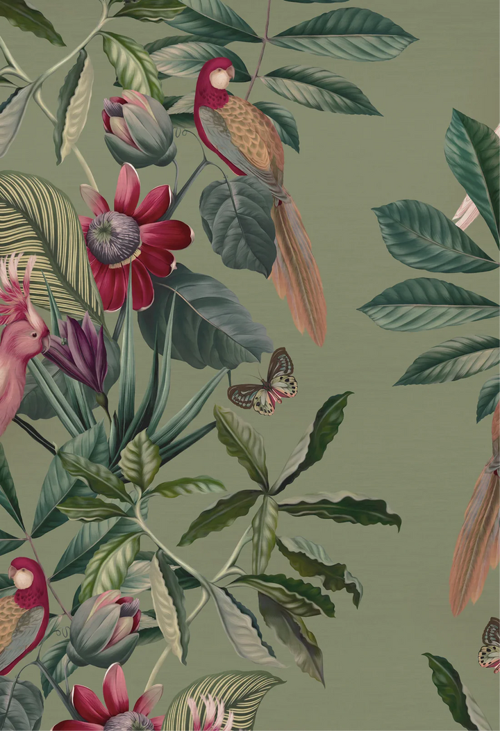 Deus-ex-gardenia-Passiflora-superwide-wallpaper-Sage-green-background-columbian-tropical-rainforest-feeling-birds-butterflies-ferns-jungle-hand-illustrated-print-pattern