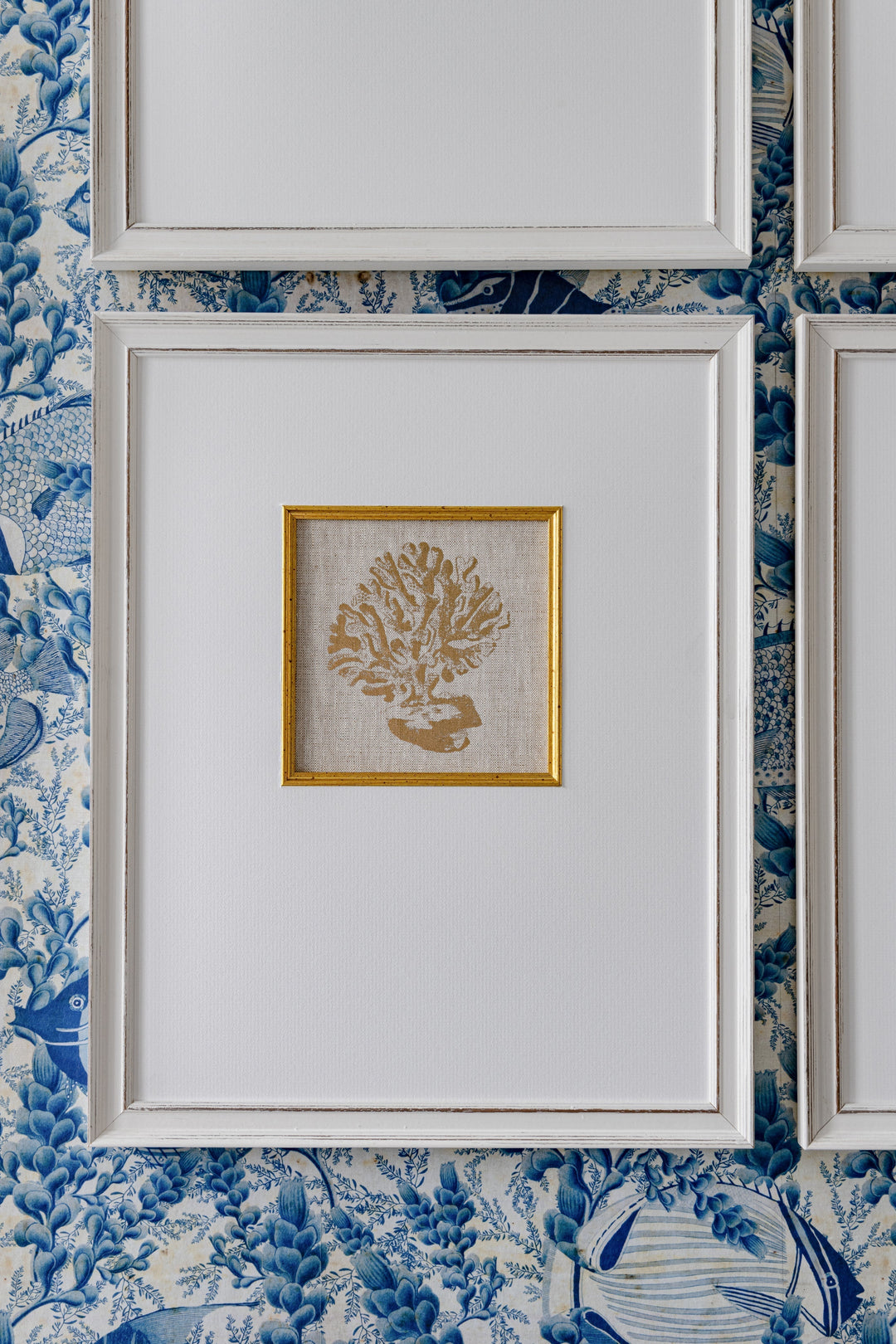 mind-the-gap-mediterrean-gems-coral-white-framed-picture