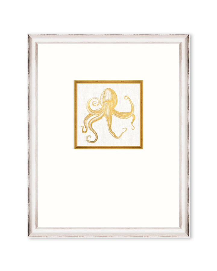 mind-the-gap-mediterrean-gems-coral-white-framed-picture