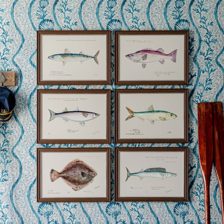 mind-the-gap-fish-print-poster