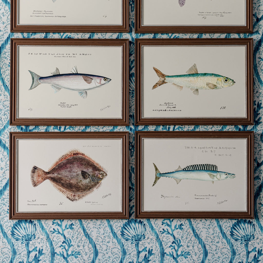 mind-the-gap-fish-print-poster