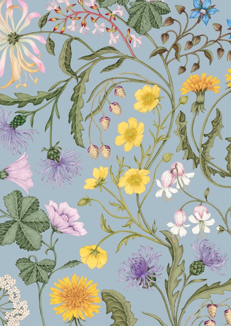 Studio Le Cocq The Lost Garden Wallpaper Coastal Blue | The Design Yard