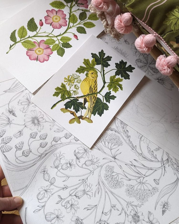 Studio-LeCocq-Hedgerows-Wallpaper-stripes-scalloped-edges-birds-cottage-woodland-hand-illustrated-spring-floral-soft-plaster-pink-background-Plaster