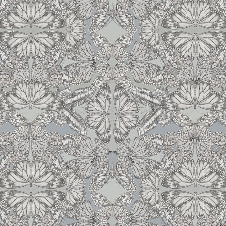 Victoria-Sanders-Papilio-butterfly-kaleidoscopic-print-hand-drawn-repeat-wallpaper-nimbus-blue-greys