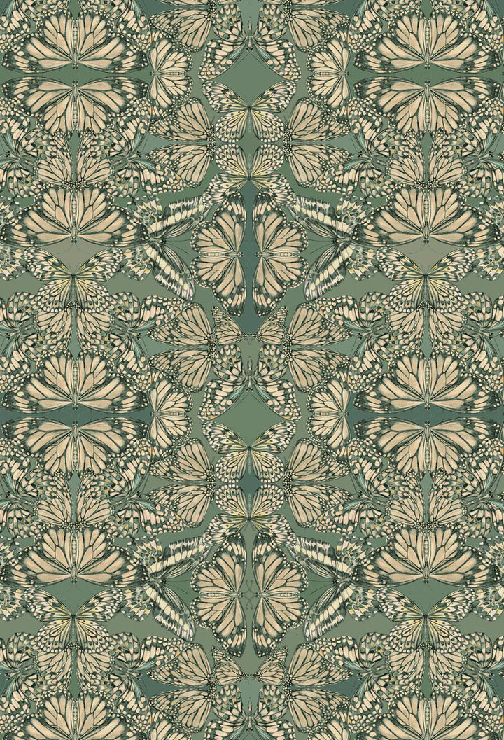 Victoria-Sanders-Papilio-butterfly-kaleidoscopic-print-hand-drawn-repeat-vert-green-wallpaper