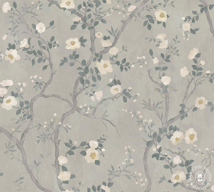 Hamilton-west-wallpaper-flora-roberts-camillia-trailing-blooms-soft-vintage-background-camillia-flower-leaves-branches-dove