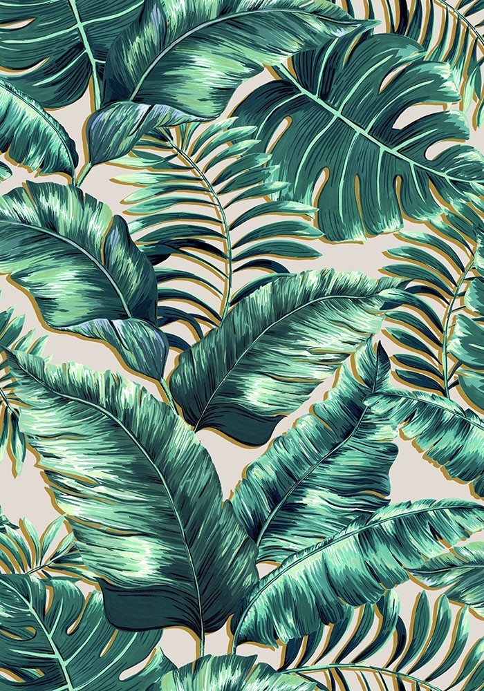 Banana-leaves-max-printed -blush-pink-jungle-print-wallpaper-brandMcKenzie-palm-printed-oversized-monstera-featurewall