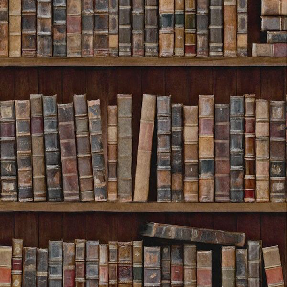 Book Shelves Wallpaper | The Design Yard