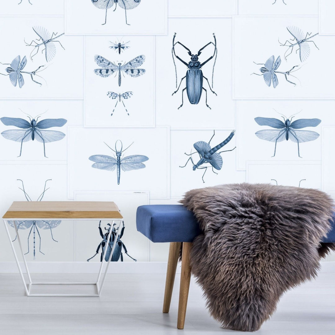 mind-the-gap-entomology-wallpaper-the-antiquarian-collection-insects-bugs-creatures-biophilia